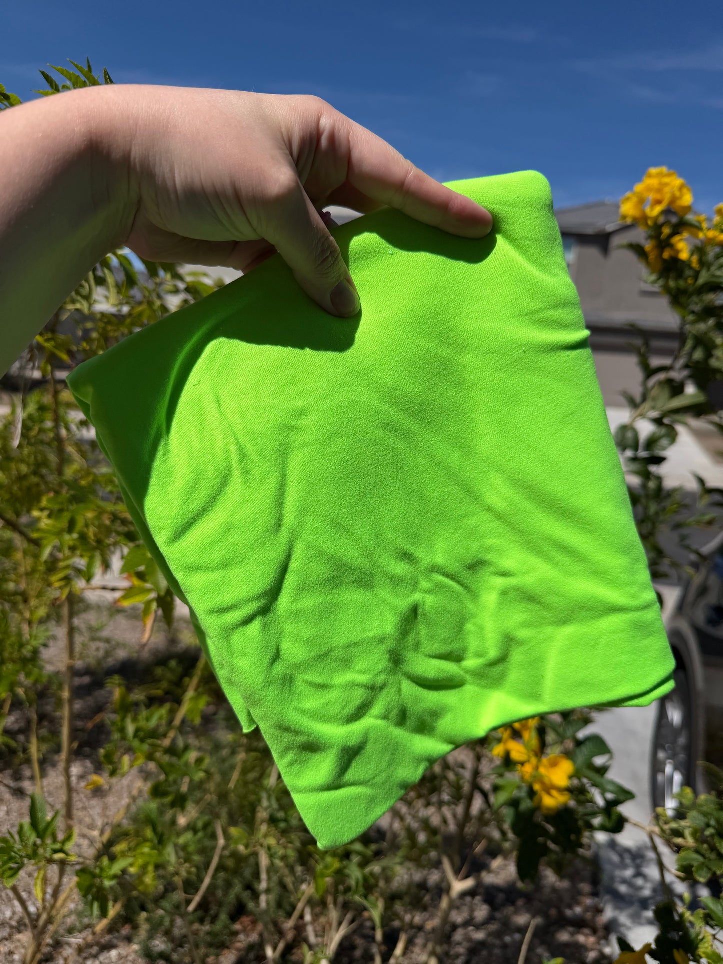 Neon Green Light DBP 1Y