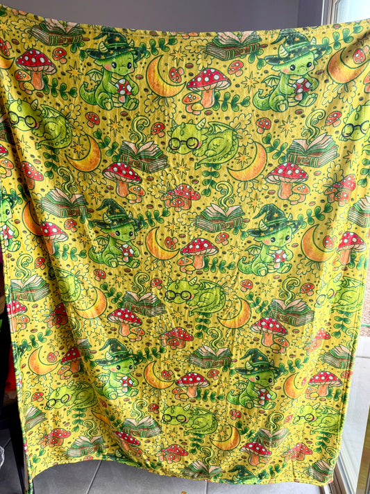 50x60 Minky Blanket